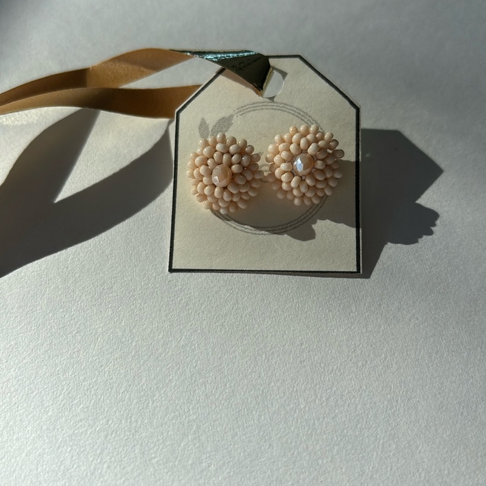 Pierced earrings